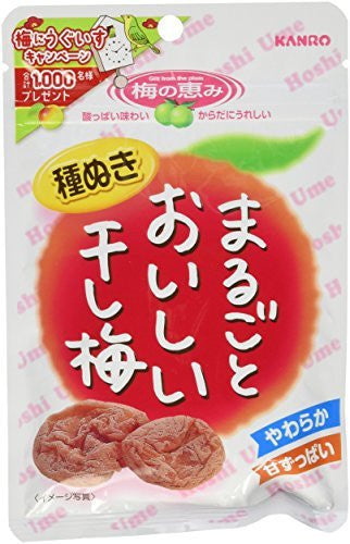 Seedless Dried Plums - 27g